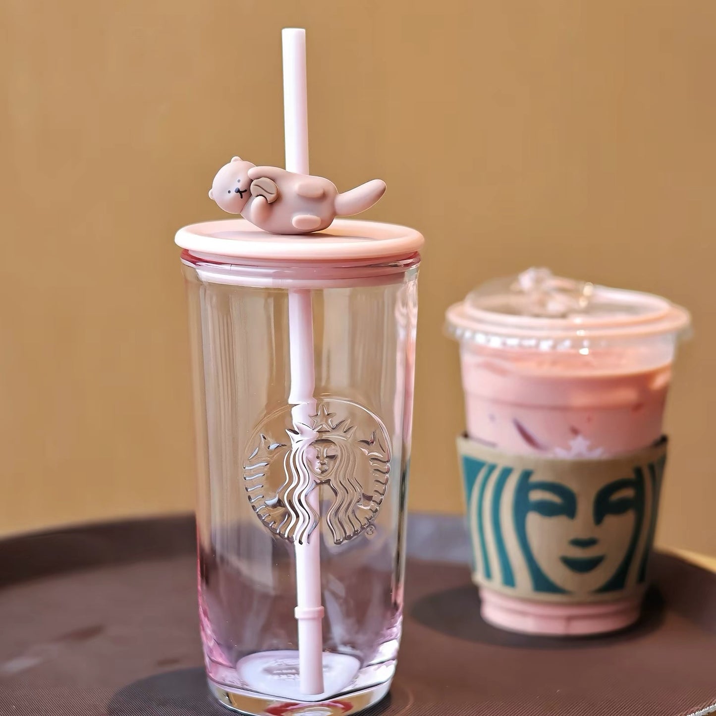 Starbucks cat